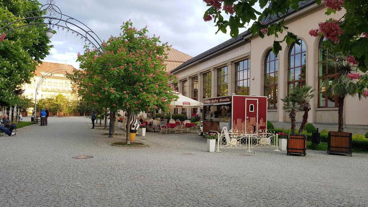 Ferienwohnung Apartamencik Maja Studio Bad Kudowa Exterior foto