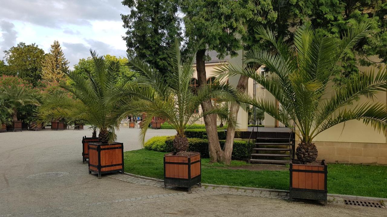 Ferienwohnung Apartamencik Maja Studio Bad Kudowa Exterior foto